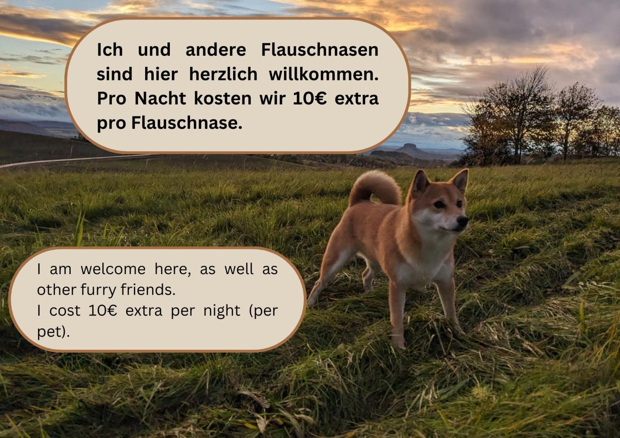 S3 - Urlaubsmagie - Fuer 4P Mitten Im Elbsandsteingebirge Sebnitz Ngoại thất bức ảnh